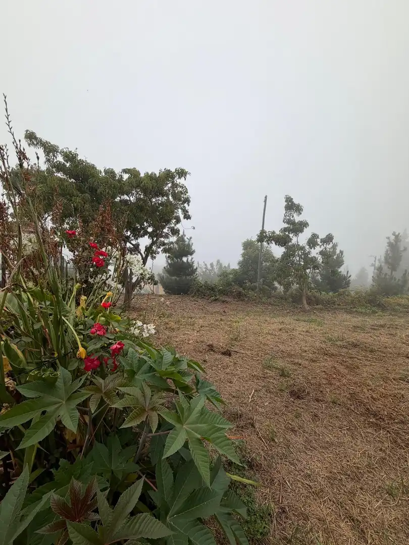 Terreno rustico in vendita a El Bebedero - Pinolere - Aguamansa, imagen 22