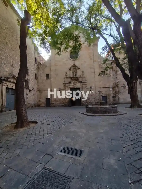 Pis amb terrassa en venda a Carrer d'Avinyó, imagen 48