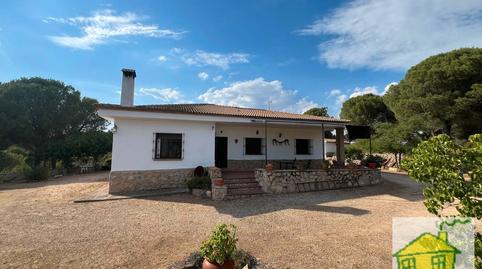 Photo 4 of Land for sale in Poblado del Santuario Virgen de la Cabeza, 42, Andújar, Jaén