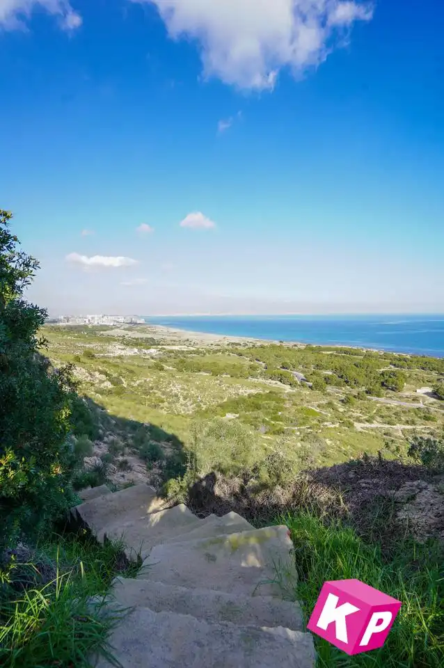 Casa o xalet en venda en Santa Pola amb Jardí privat, Terrassa i Traster
