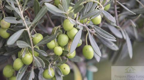 Foto 3 de Residencial en venta en Montejícar, Granada