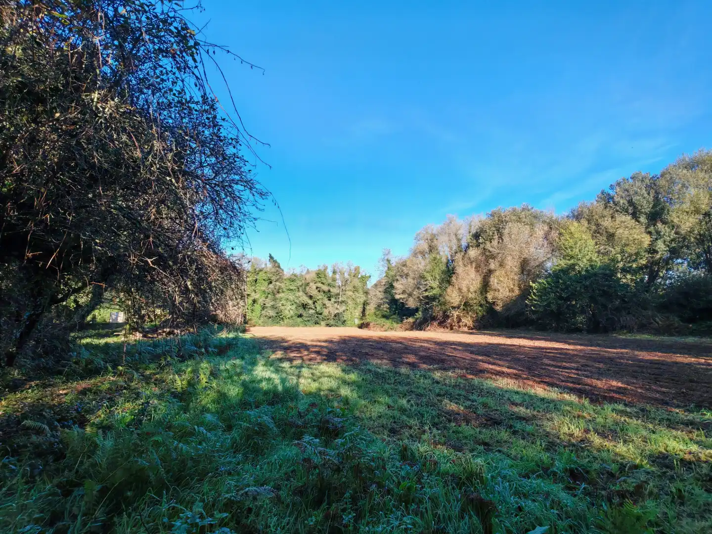 Land for sale in Sada (A Coruña)
