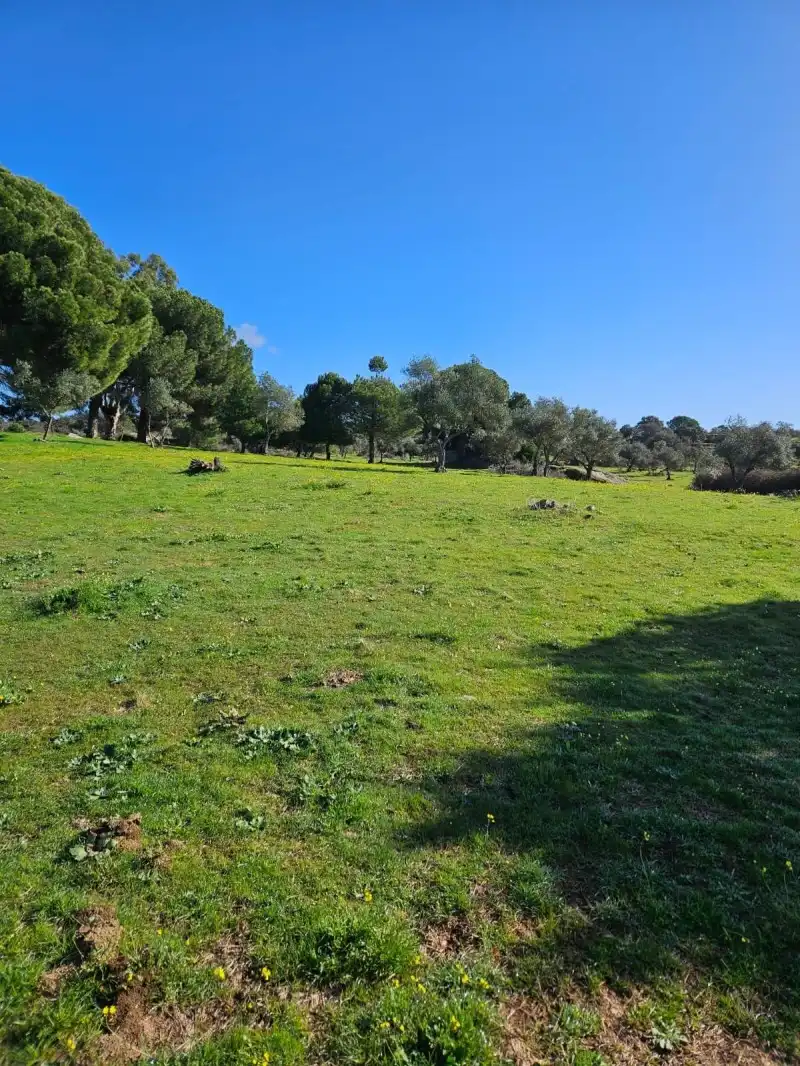 Terreni e lotti in vendita a Aldea del Cano, imagen 74