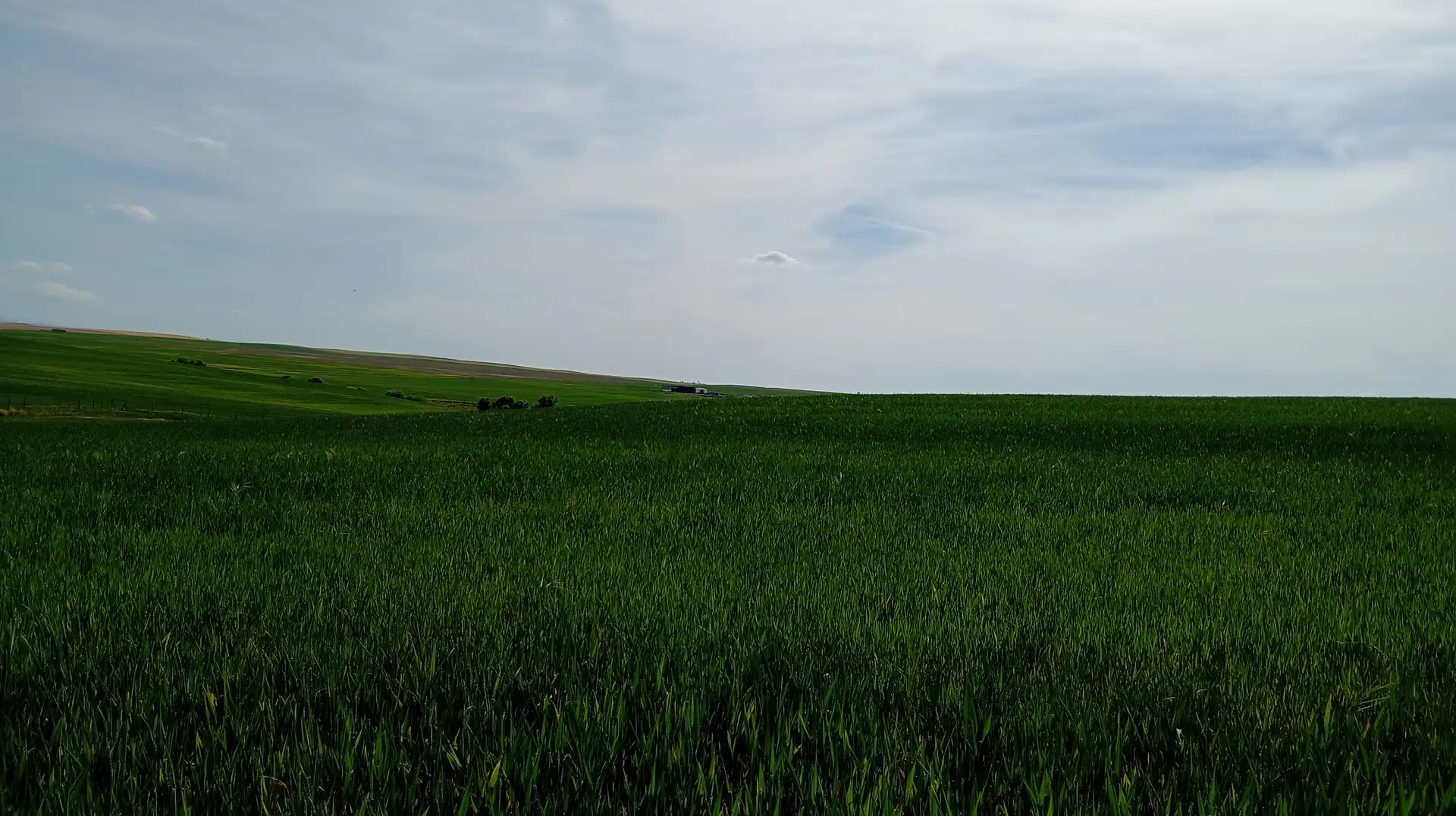 Land for sale in Calle Iglesia, Cantaracillo