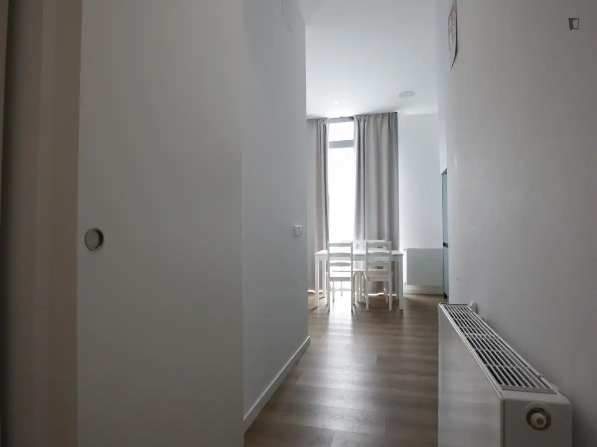 Apartament amb ascensor de lloguer a Centro, imagen 19