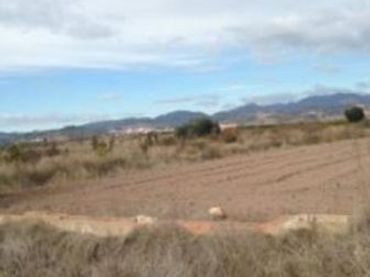Terrain rustique à vendre à PROC. SIMPLIFICADO