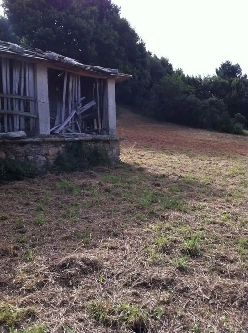 Country homes for sale in O Vicedo 