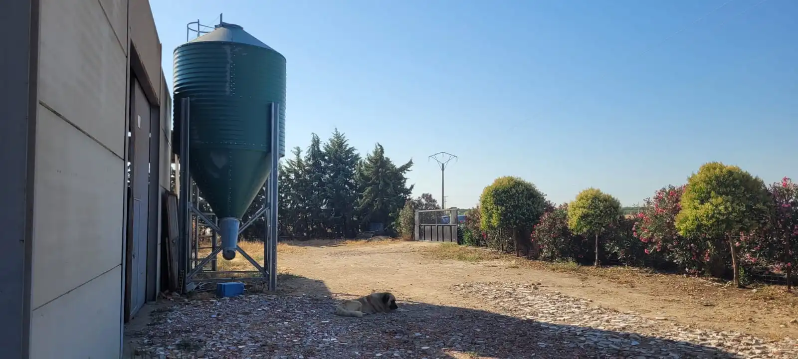 Terreni e lotti in vendita a Villanueva de la Serena, imagen 6