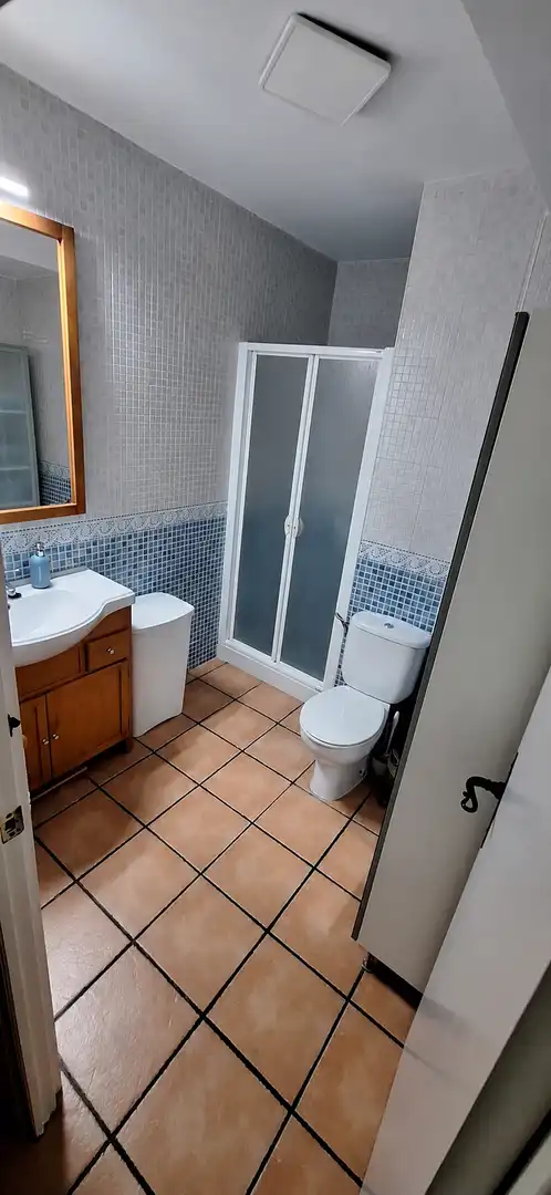 Bathroom of Flat for sale in Écija  with Air Conditioner, Terrace and Furnished