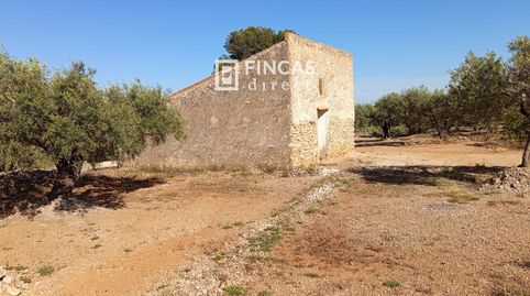 Foto 2 de Finca rústica en venda a Rm57+v3f, L'Ampolla, Tarragona