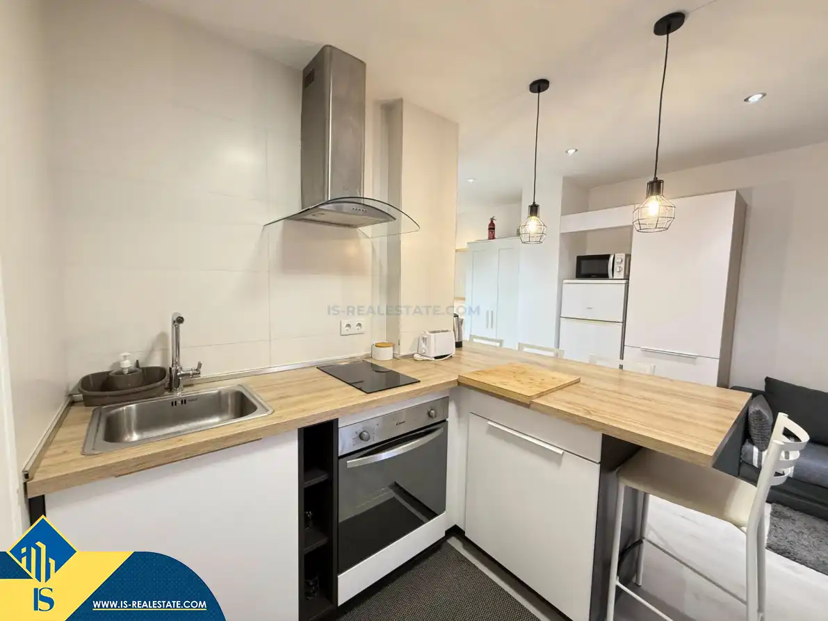 Estudio con piscina en venta en Centro, imagen 12
