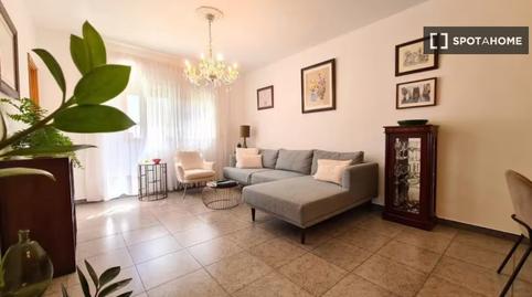 Photo 3 of Apartments for share in La Cuesta -Finca España, San Cristóbal de la Laguna