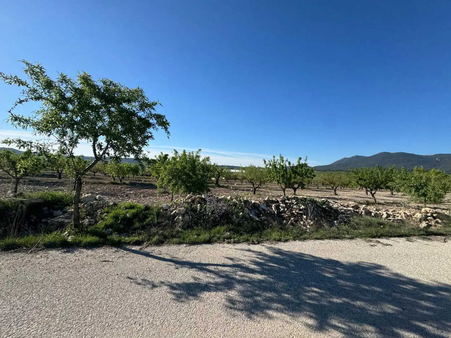 Casa con jardín en venta en Moratalla, imagen 17