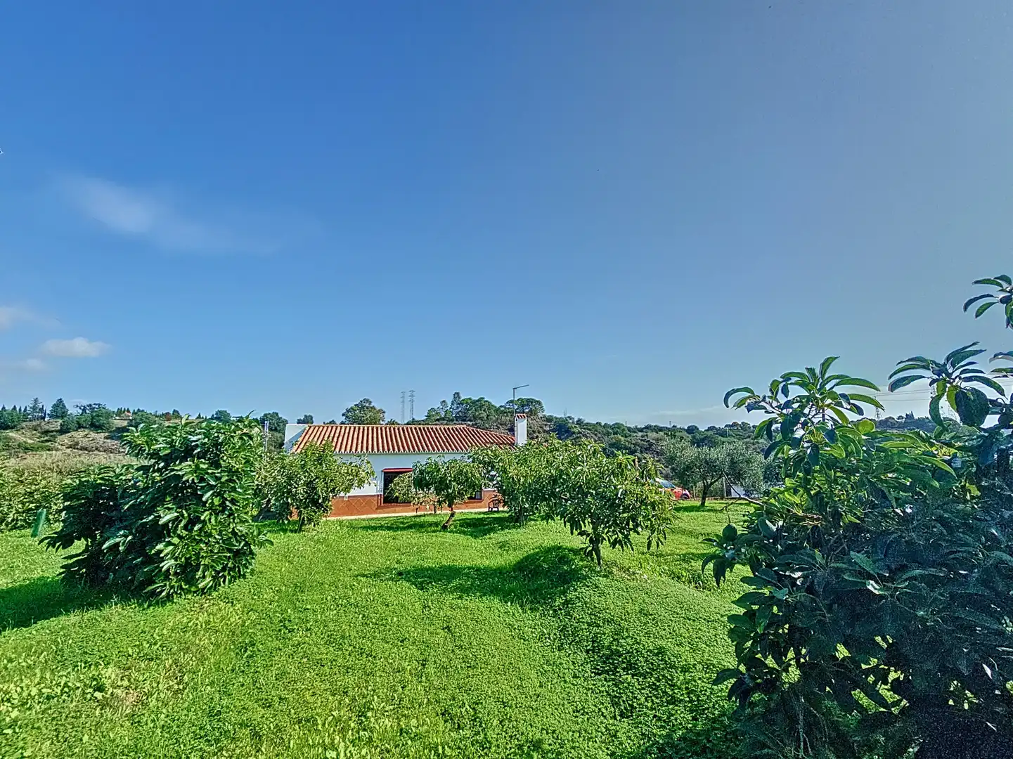 Haus mit Garten zum Verkauf in Selwo, imagen 2