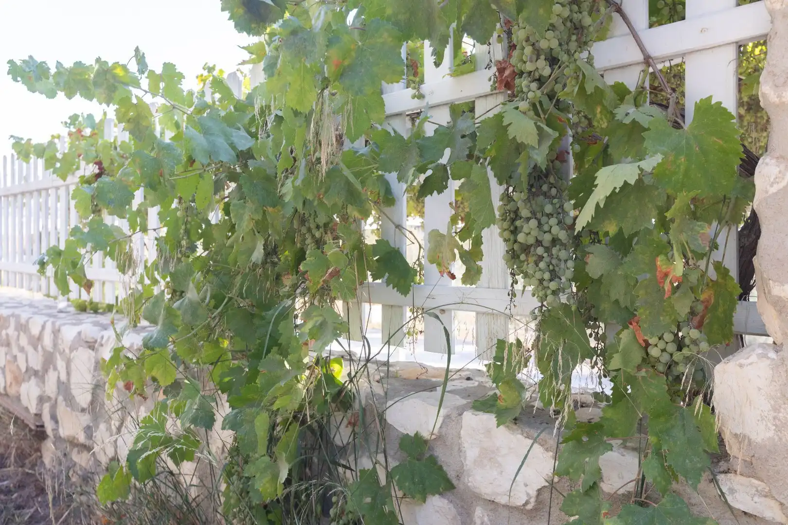 Garden of Country homes for sale in Gilena  with Air Conditioner, Heating and Private garden