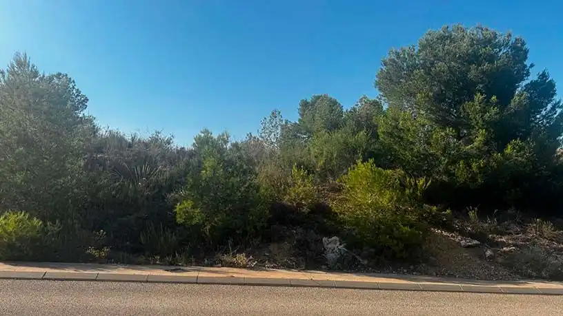 Terrain résidentiel à vendre à ctra El Pinar, imagen 8