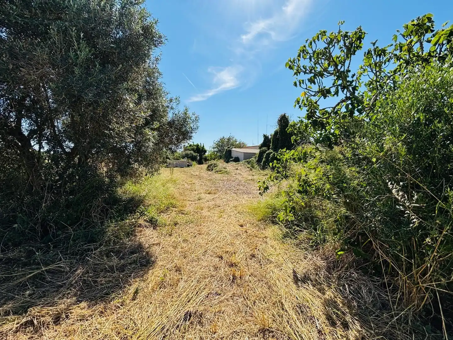 Terreno rústico en venta en Porreres