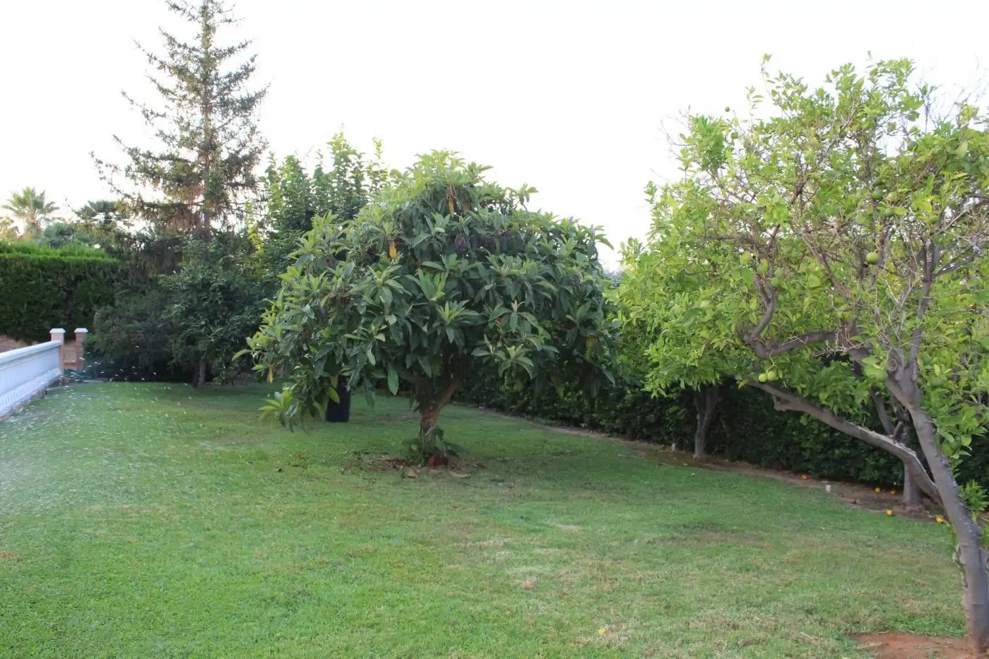 Villa avec terrasse à vendre à Picassent, imagen 48