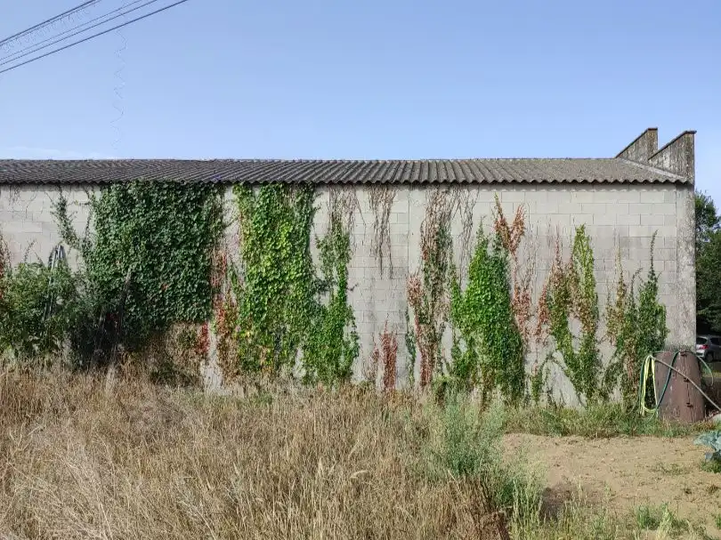 Vista exterior de Local de lloguer en Boiro