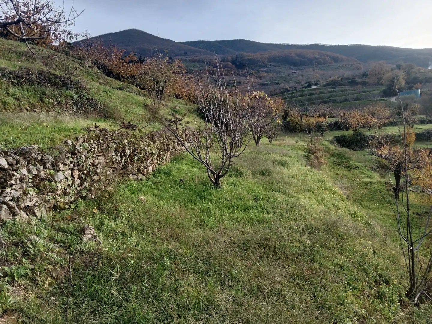 Terreni e lotti in vendita a Navaconcejo