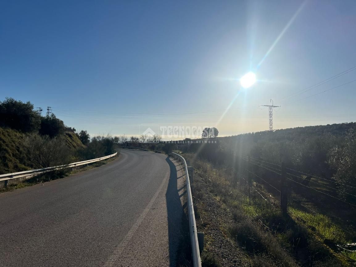 Land for sale in Linarejos