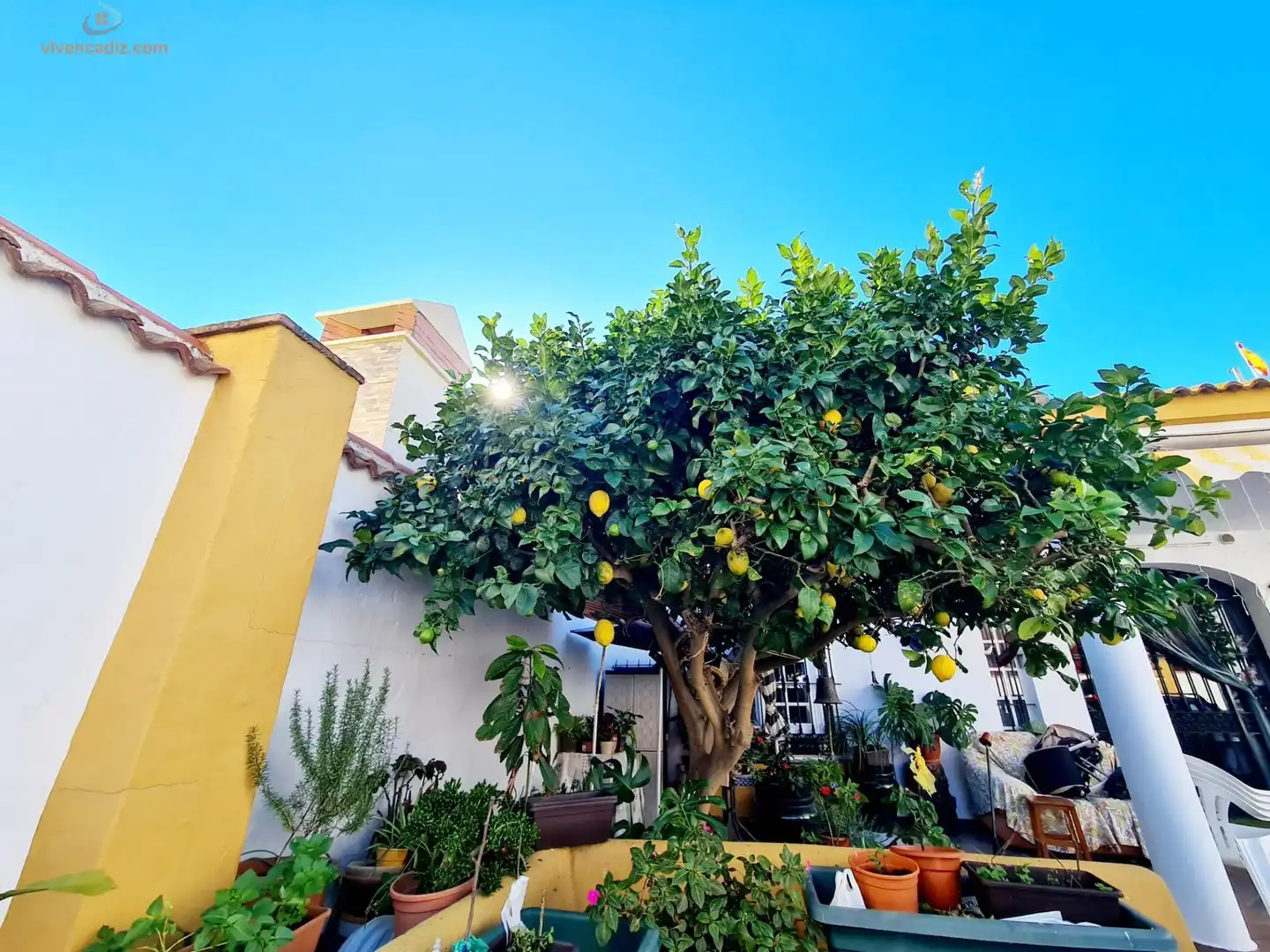 Terrassa de Casa o xalet en venda en San Fernando amb Traster