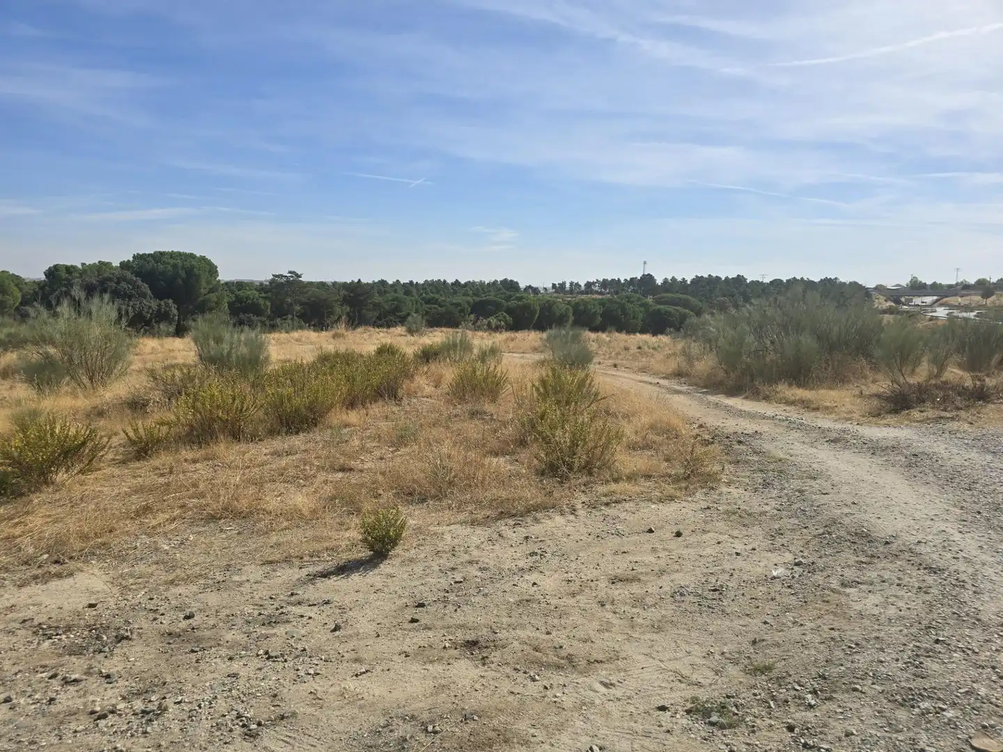 Terreny residencial en venda a La Dehesa - El Pinar, imagen 12