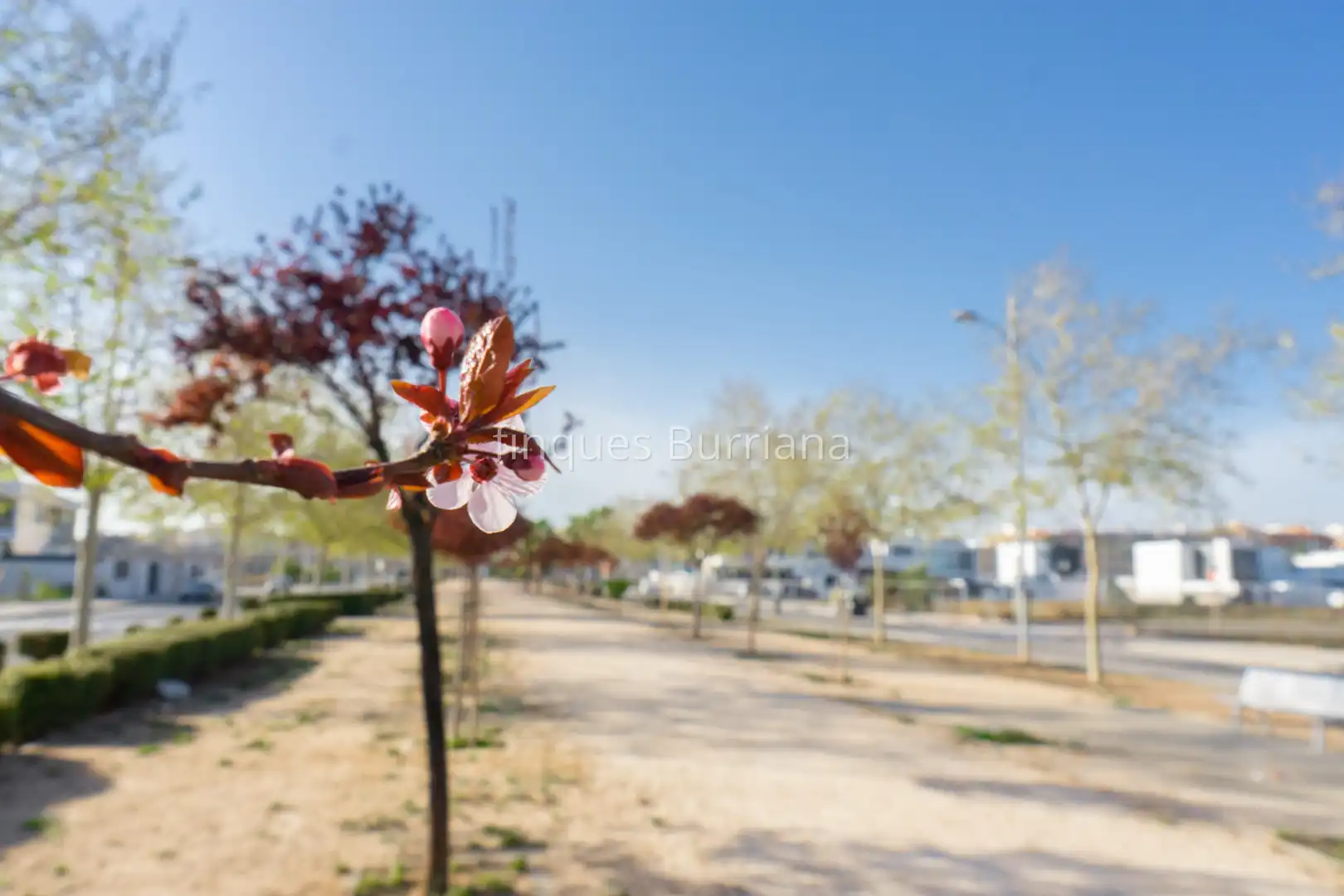 Terreny residencial en venda a Piscinas, imagen 11
