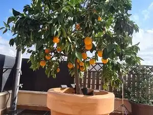 Terrassa de Àtic en venda en Madrid amb Terrassa i Piscina comunitària