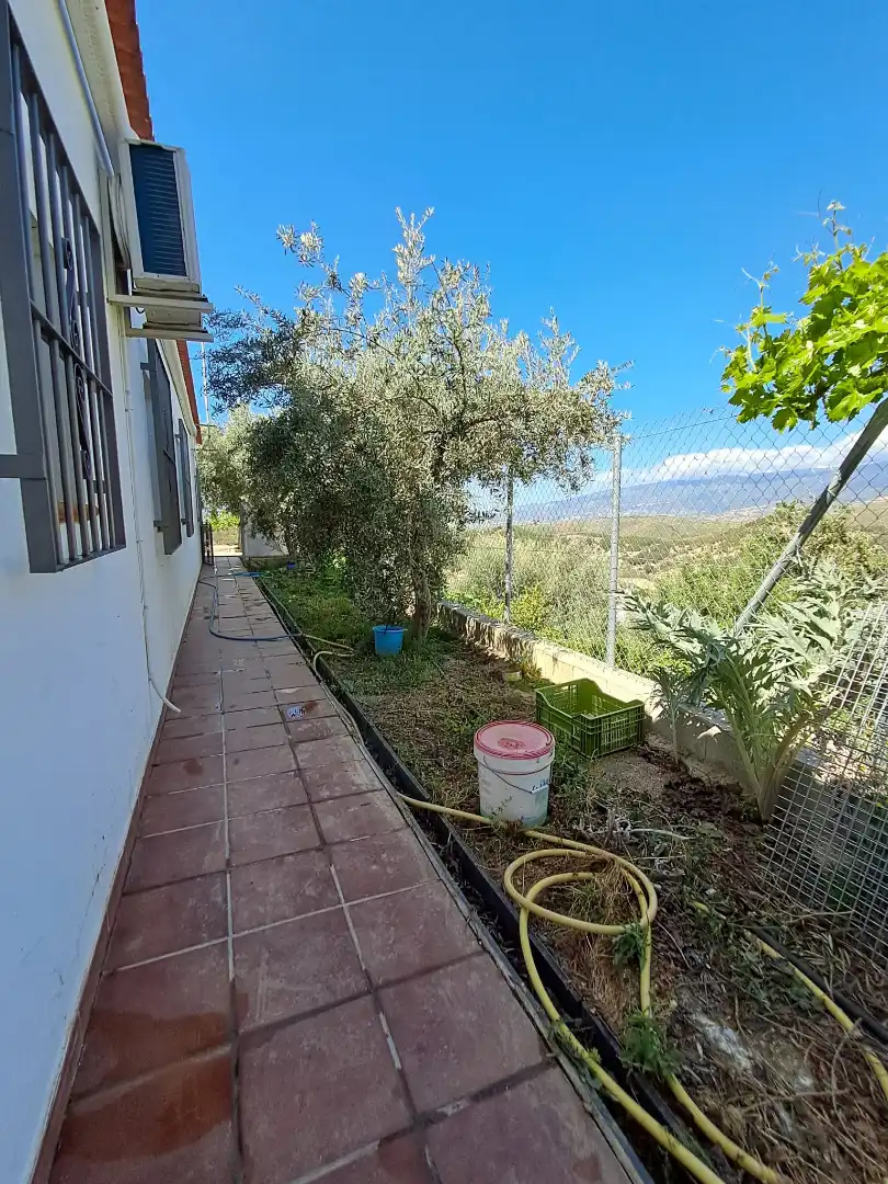 Jardí de Finca rústica en venda en Alcolea amb Aire condicionat, Jardí privat i Piscina