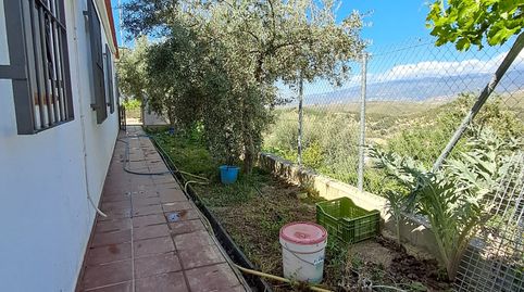 Foto 2 de Finca rústica en venda a Alcolea, Almería
