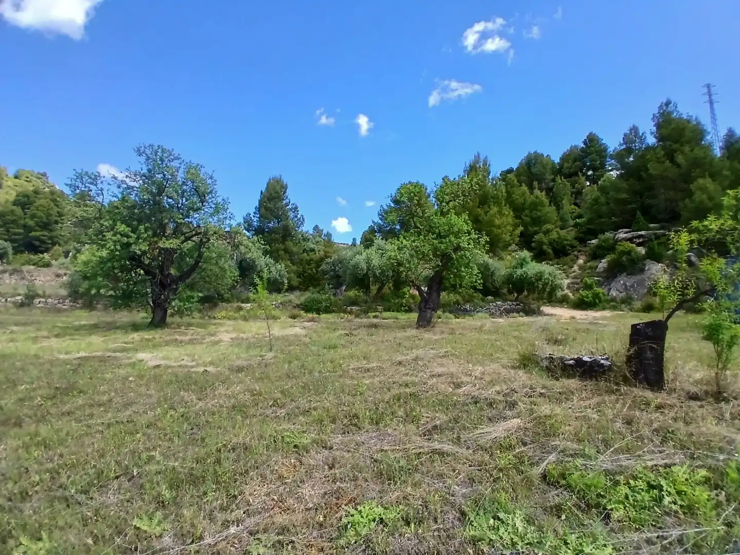 Terreni e lotti in vendita a Valderrobres, imagen 10