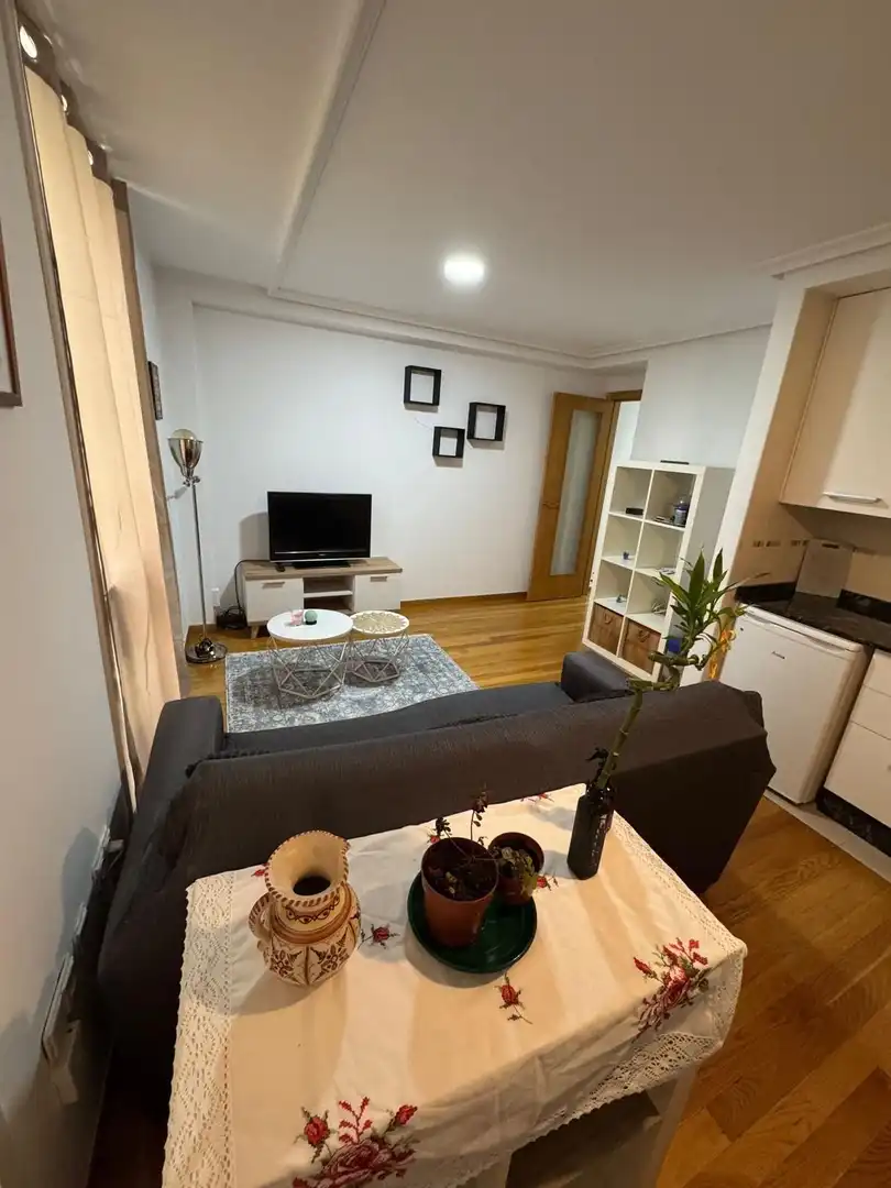 Sala de estar de Piso de alquiler en Ourense Capital  con Amueblado