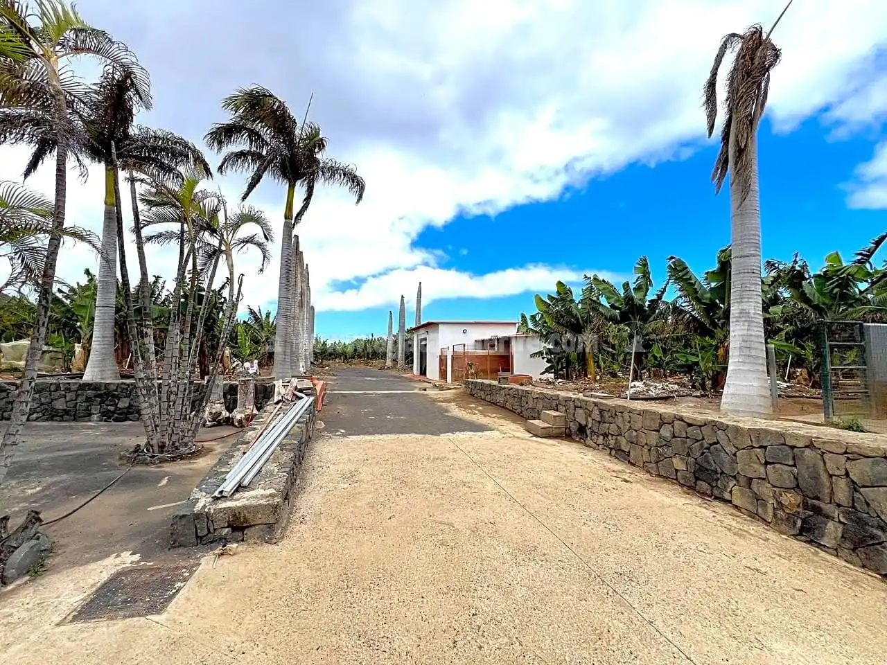 Vista exterior de Finca rústica en venta en Los Silos con Jardín privado y Terraza