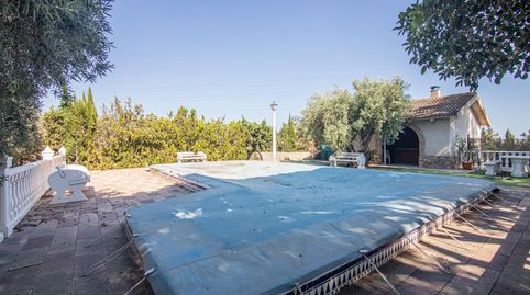 CHALET INDEPENDIENTE CON 5.250M2 DE PARCELA, PISCINA Y ALMACÉN ENTRE ELCHE Y TORRELLANO, imatge 5