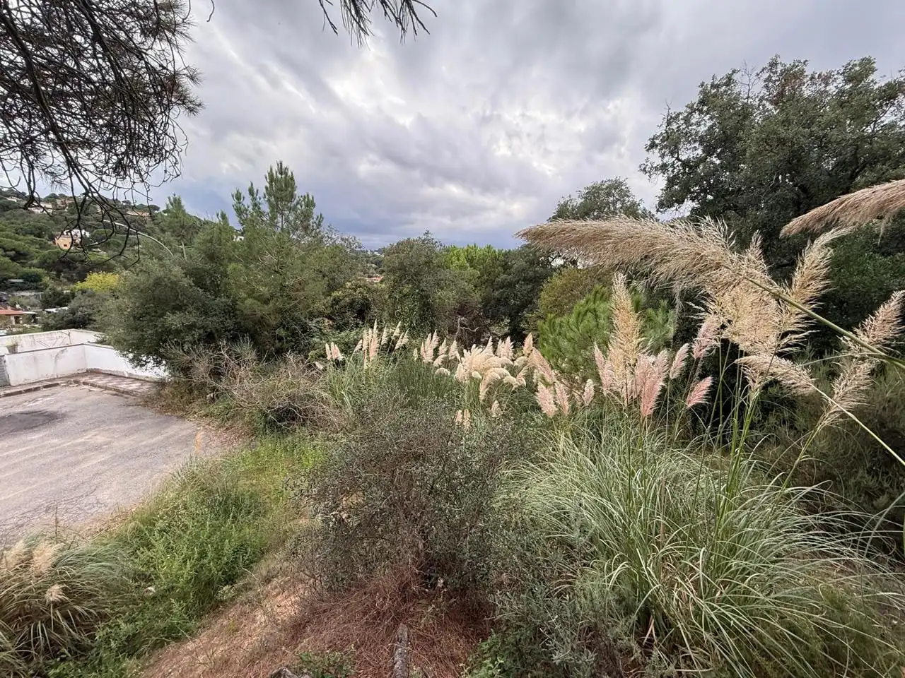 Terrenos y solares en venta en Lloret Residencial - Montlloret, imagen 3