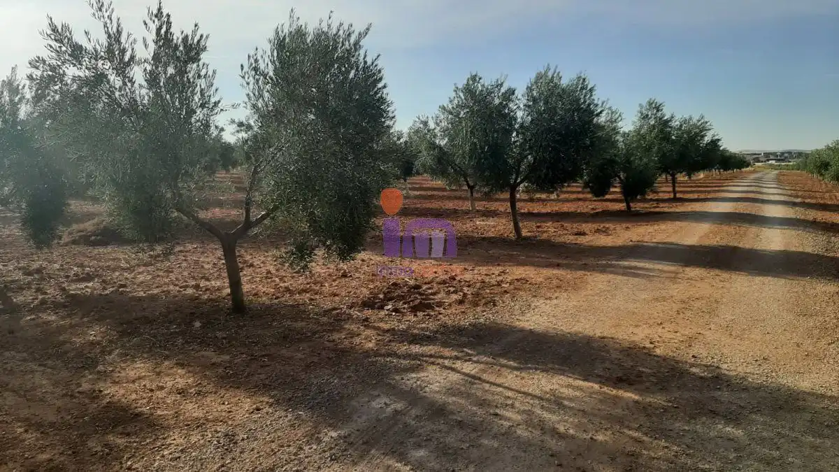 Casa rústica en venda a Valdepeñas, imagen 49