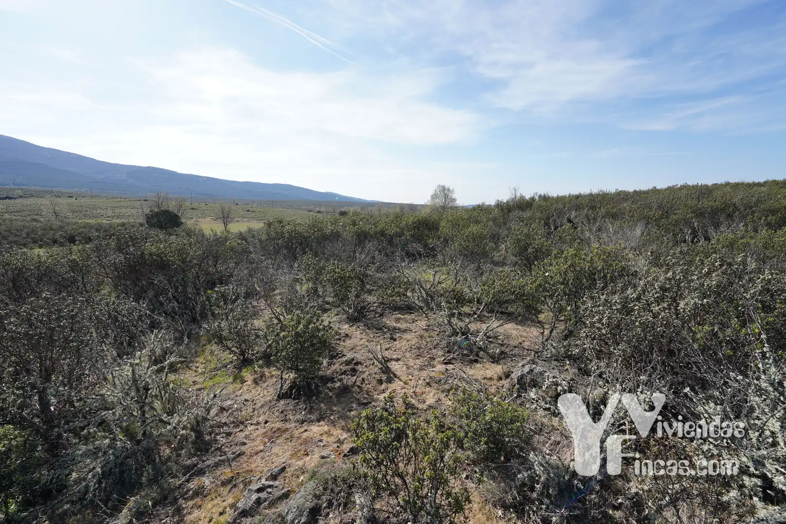 Terreno rústico en venta en Campillo de Ranas, imagen 3