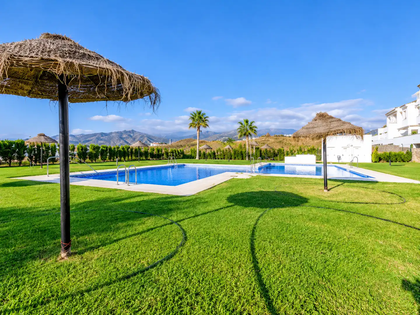 Swimming pool of Flat for sale in Caleta de Vélez