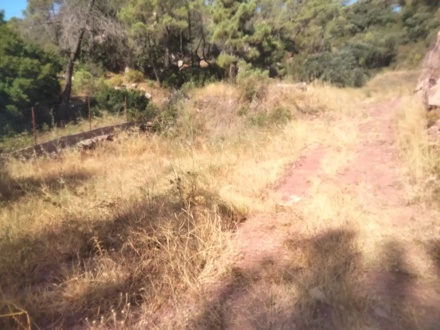 Rural land for sale in Gátova, imagen 5