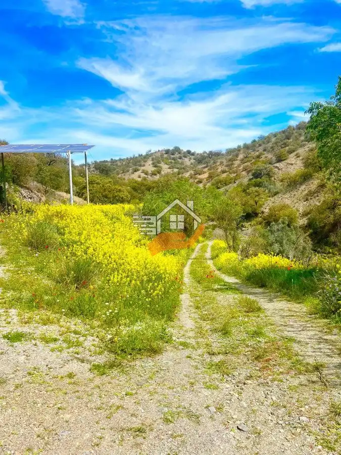 Casa rústica en venta en Vélez-Rubio, imagen 21