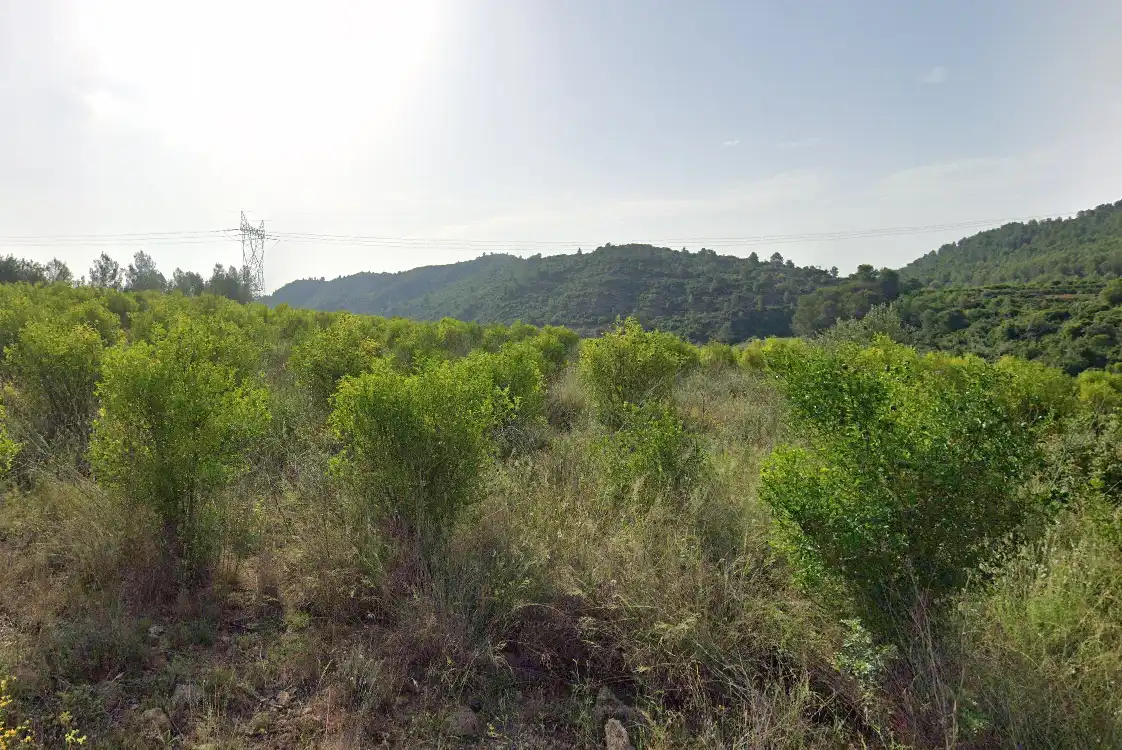Terreno residencial en venta en Olivares, imagen 4