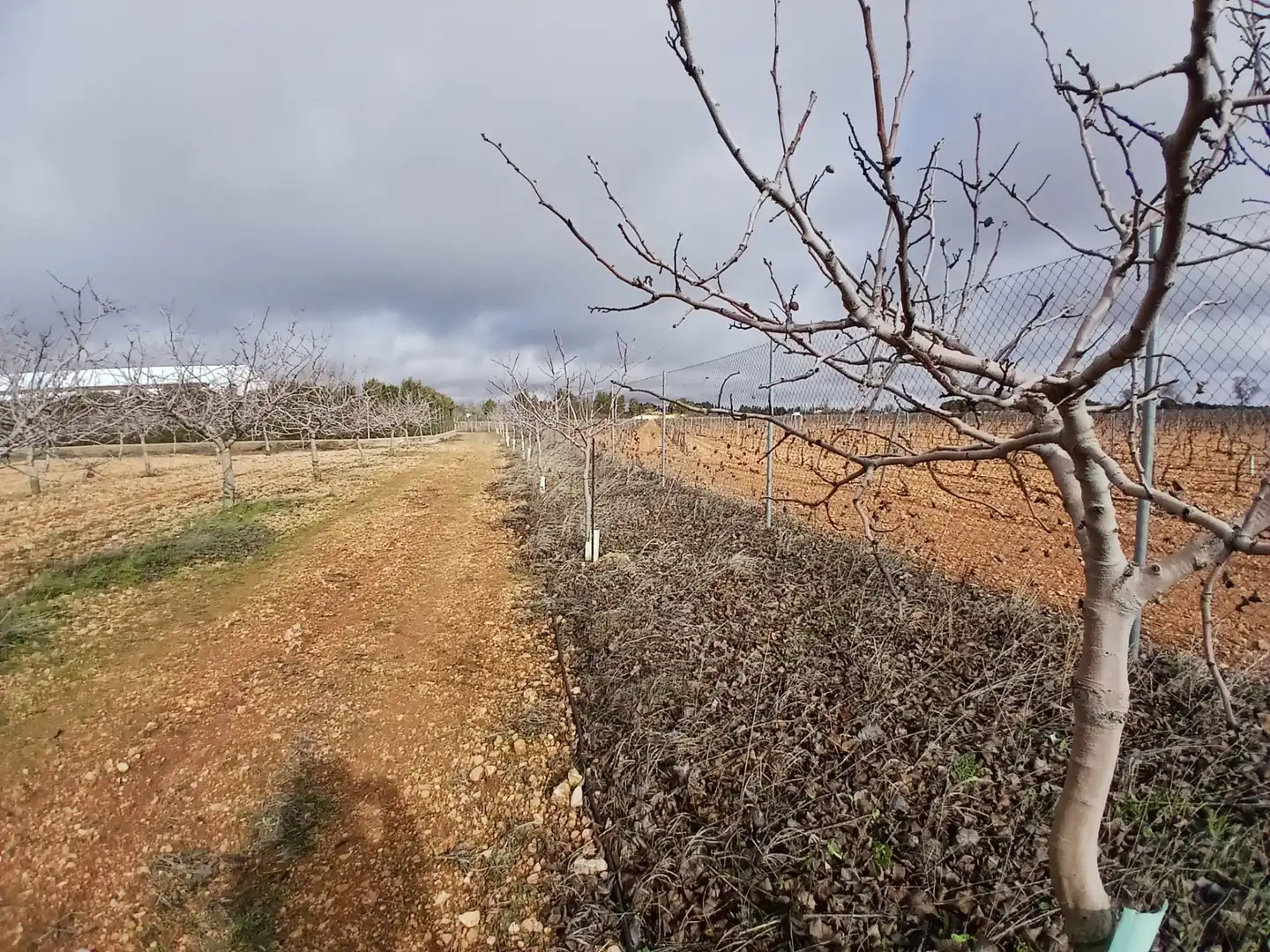 Rural land for sale in Carretera Solana, imagen 11