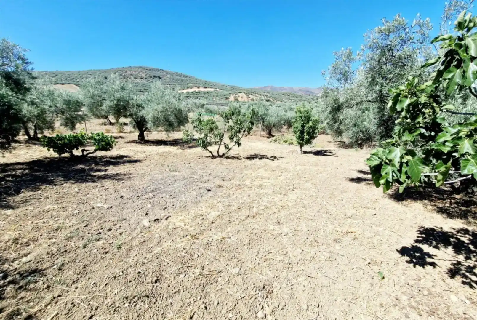 Casa o chalet de alquiler en Riogordo con Jardín privado