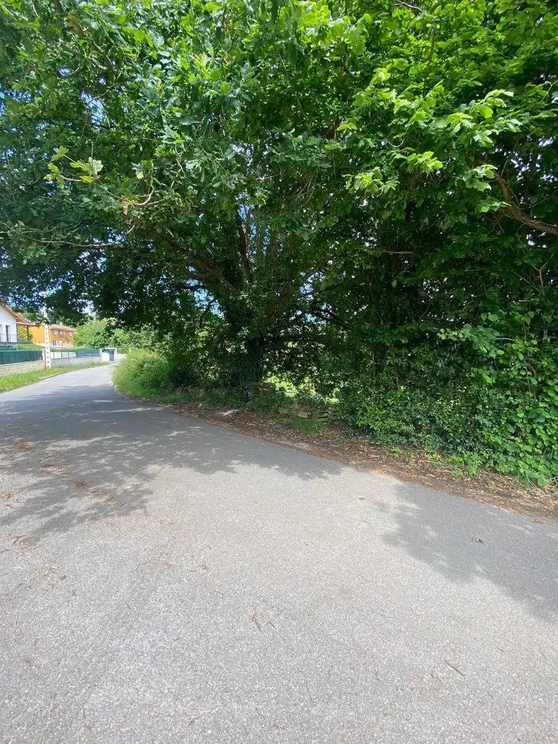 Residential land for sale in Lugones, imagen 9