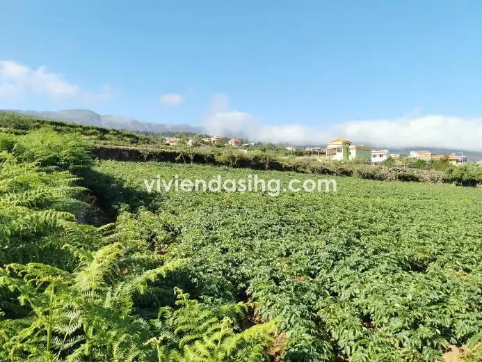 Terreno rustico in vendita a La Perdoma - San Antonio - Benijos, imagen 7