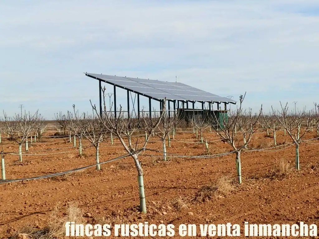 Jardín de Terreno en venta en Albacete