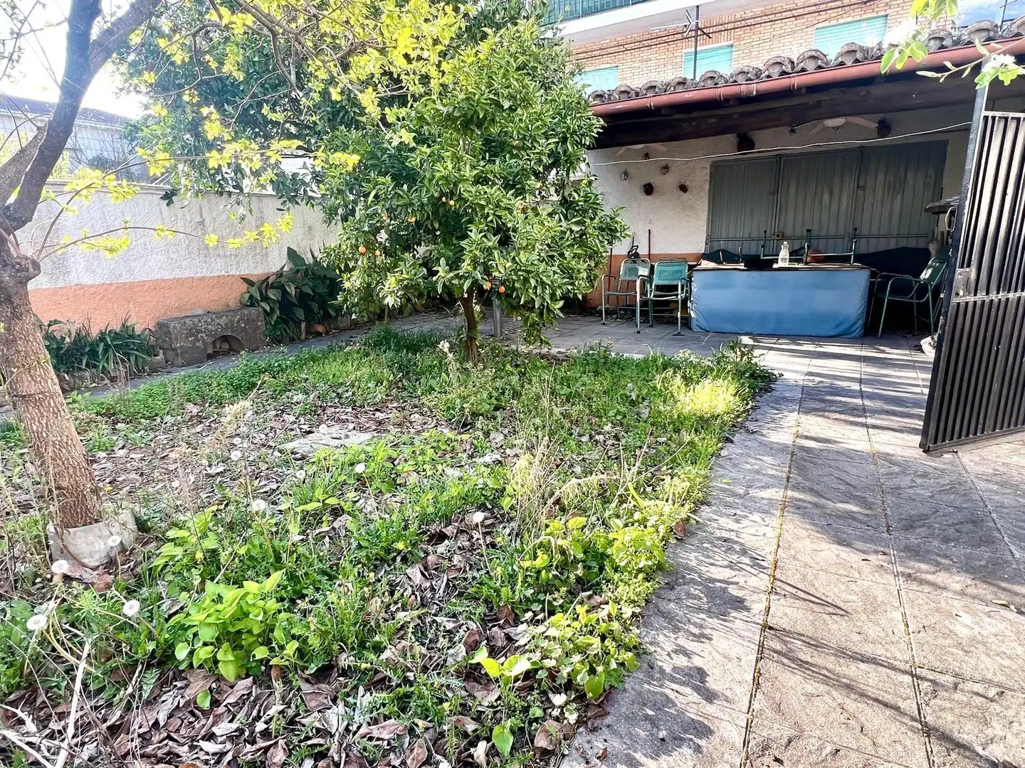 Jardín de Casa o chalet en venta en Jerte con Jardín privado y Terraza