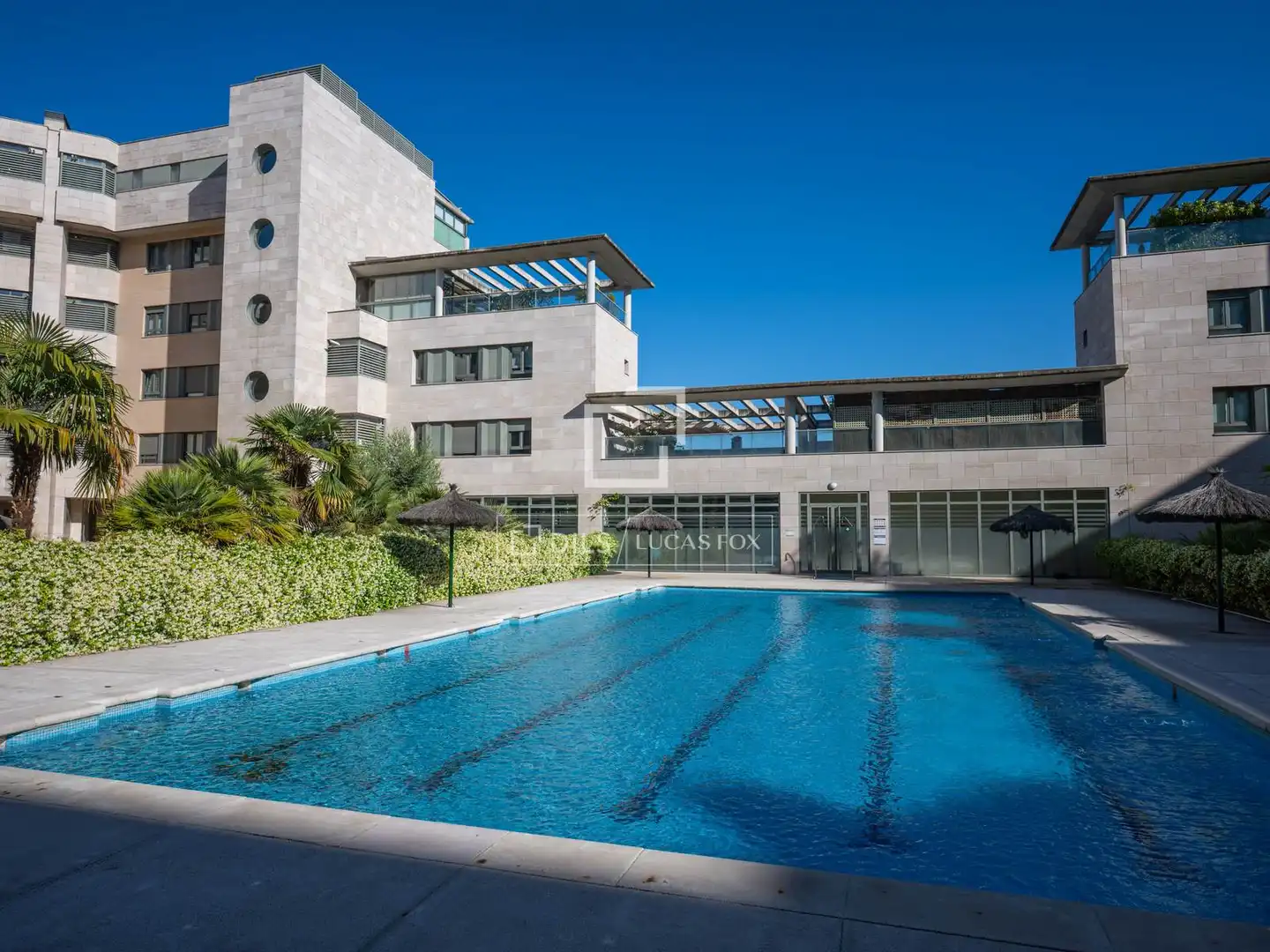 Swimming pool of Flat for rent in Madrid  with Air Conditioner, Heating and Private garden