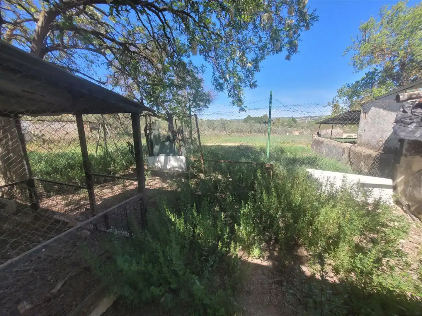 Finca rústica en venda en Ronda amb Piscina